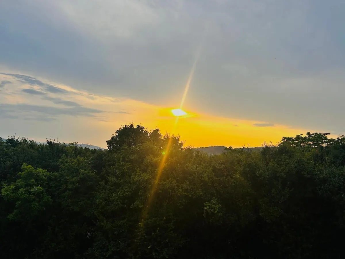 Gemuetliche Wohnung Mit Flair Und Natur Pur Vienna Austria